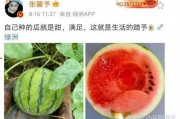 吃瓜娱乐圈瓜,揭秘明星们的甜蜜与苦涩瓜